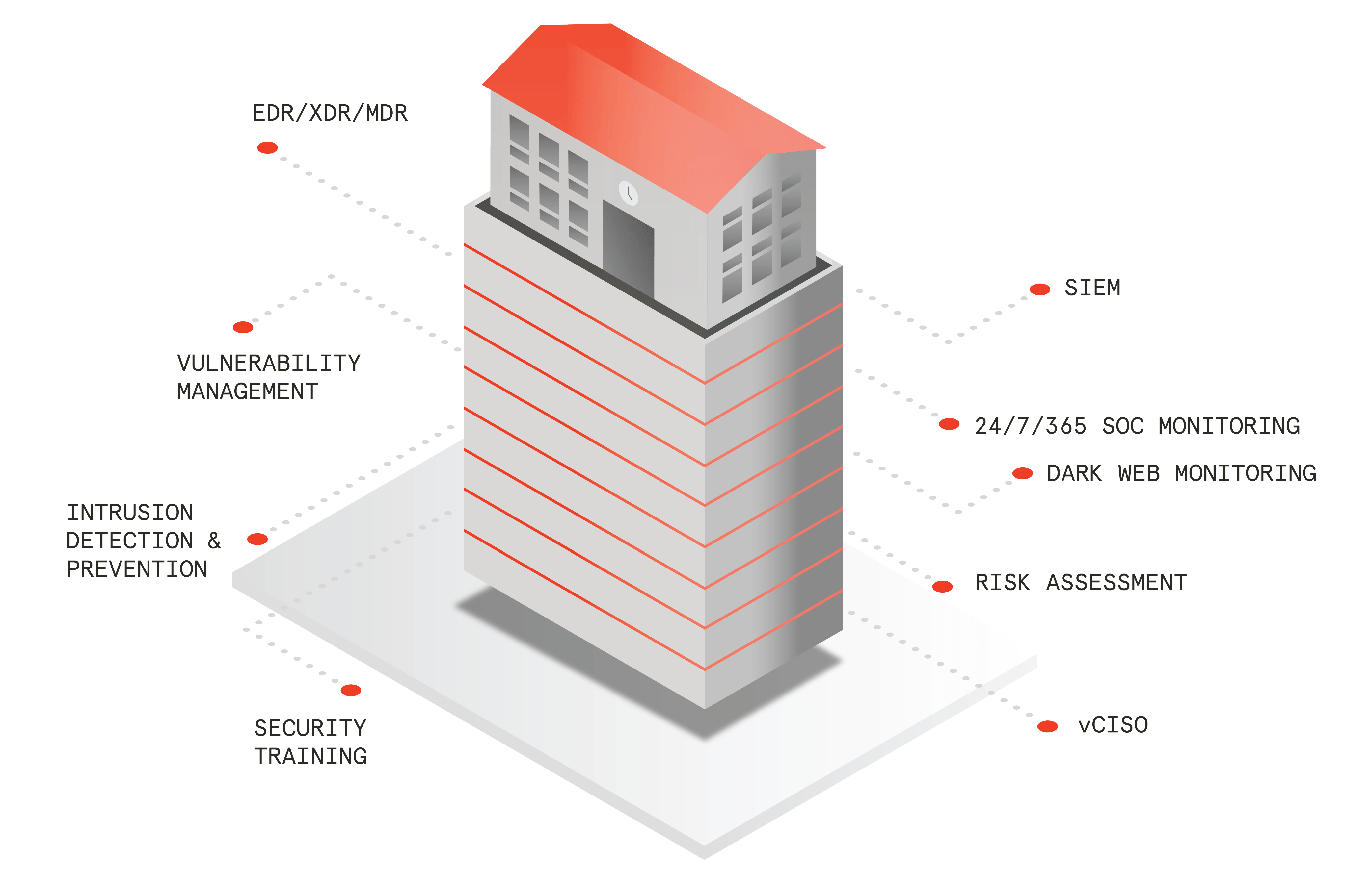 Xpel Infographic