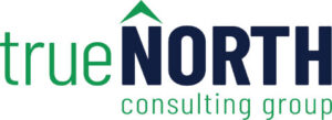True North Consulting Group logo
